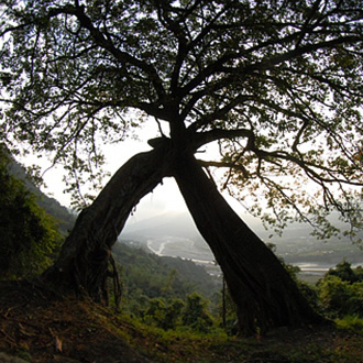 高雄精選名勝三日遊（1/3）